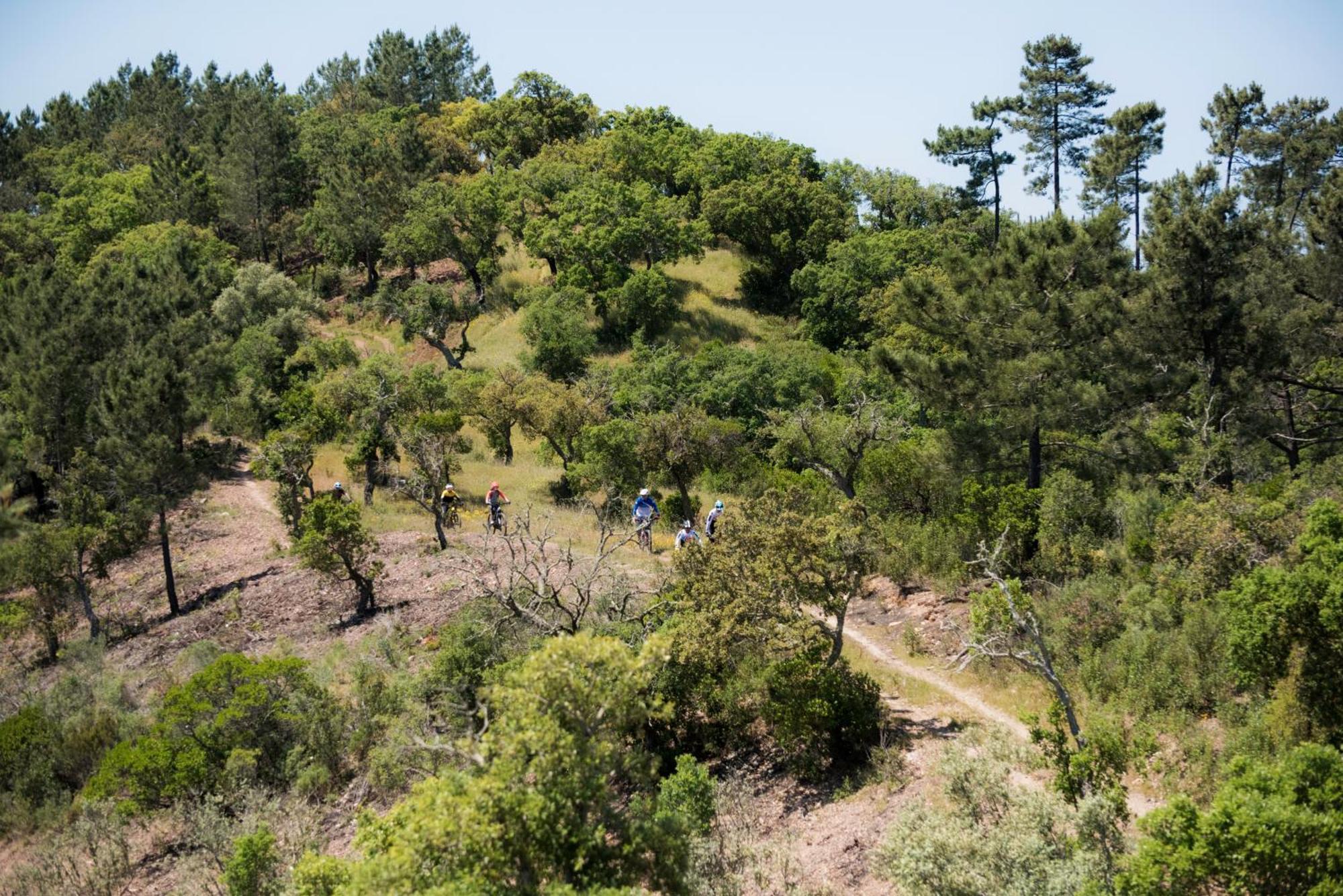 Herdade Das Barradas Da Serra Grândola Екстериор снимка