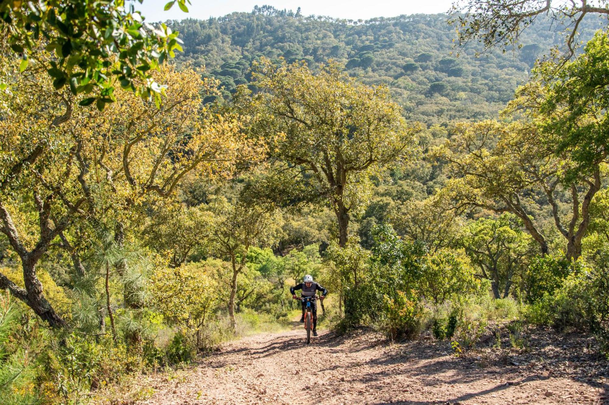 Herdade Das Barradas Da Serra Grândola Екстериор снимка