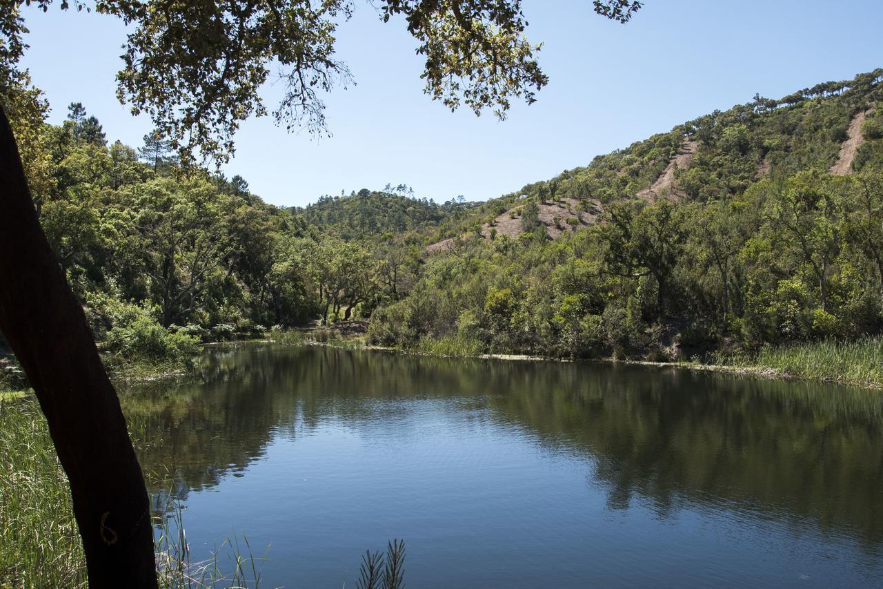Herdade Das Barradas Da Serra Grândola Екстериор снимка