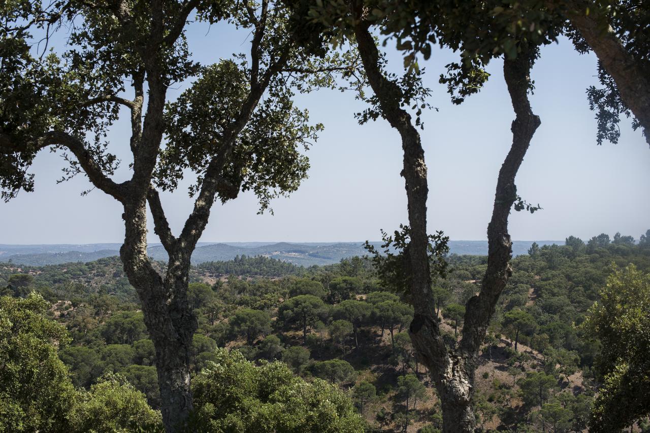 Herdade Das Barradas Da Serra Grândola Екстериор снимка